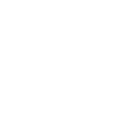 Parth Developer Logo