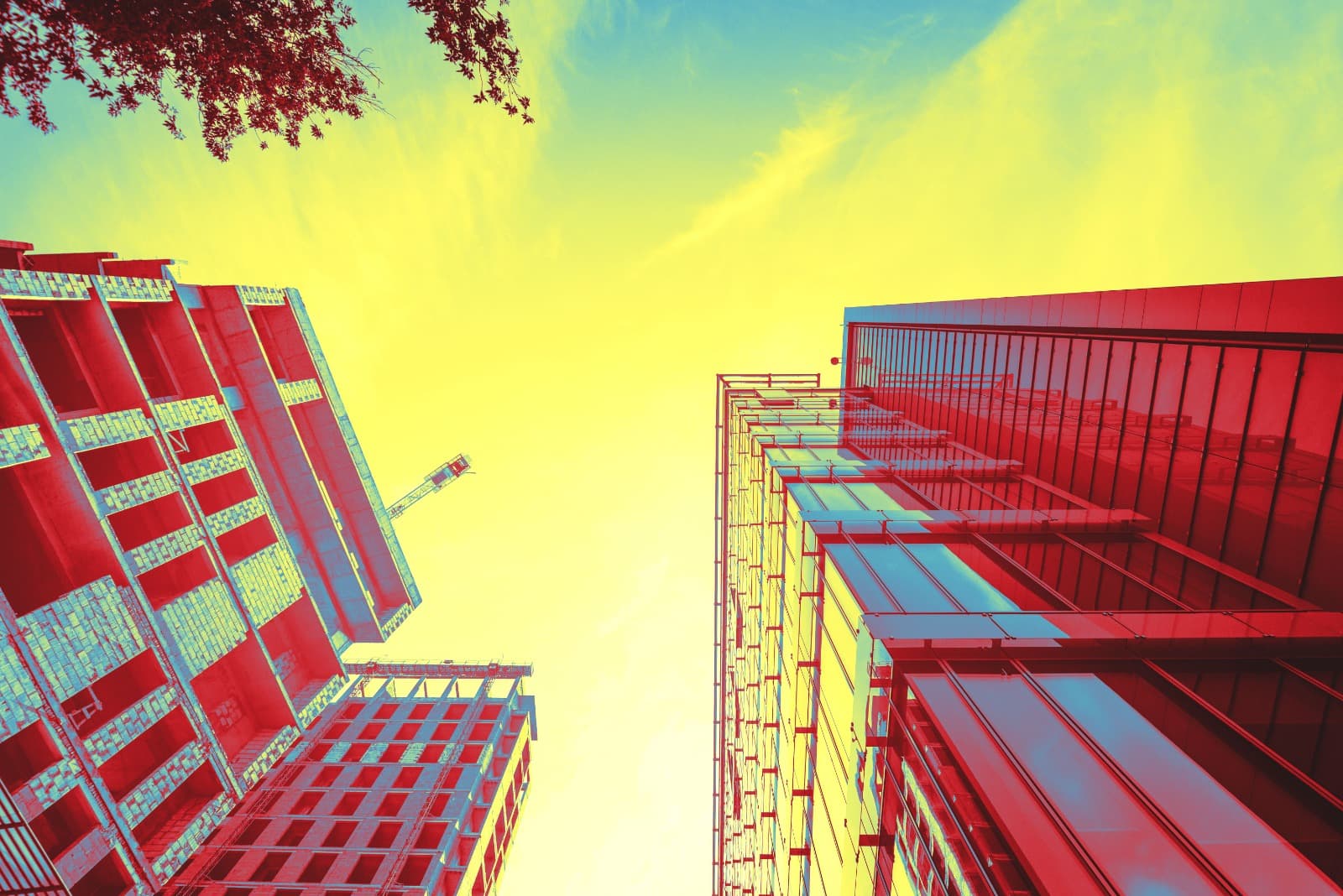 Finding Your Tribe: The Social and Cultural Perks of Wyce’s Low Density Project in Bavdhan