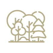 Native Miyawaki Forest Retreat